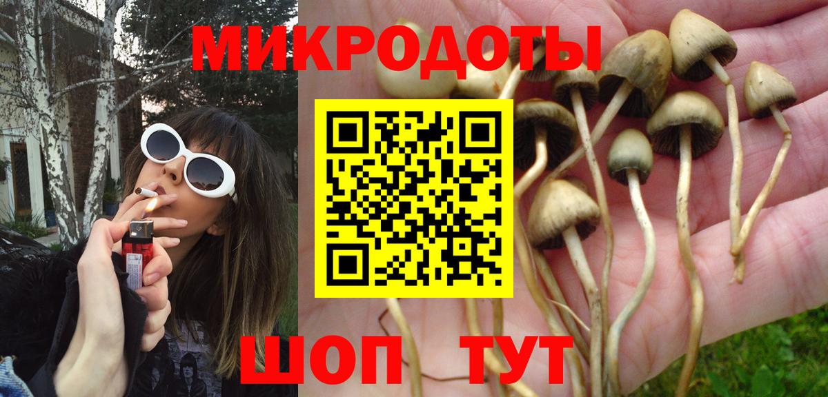 Псилоцибиновые грибы Psilocybe  Галлюциногенные грибы MAGIC MUSHROOMS  Вход с VPN  Кушва 